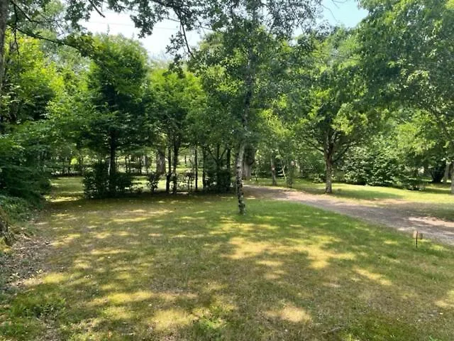 Le Convivial مكان تخييم Foncène